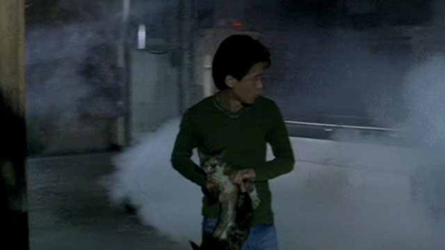 Dong - The Hole - man Kang-sheng Lee carrying tortie and white cat through marketplace being fumigated
