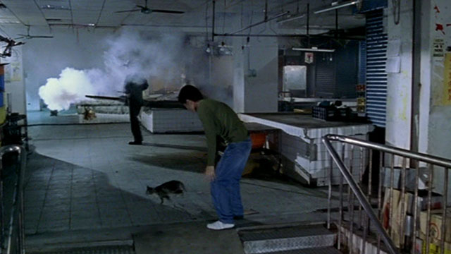 Dong - The Hole - man Kang-sheng Lee after dropping tortie and white cat in marketplace being fumigated