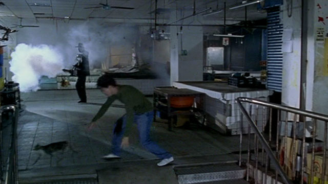 Dong - The Hole - man Kang-sheng Lee trying to catch tortie and white cat in marketplace being fumigated