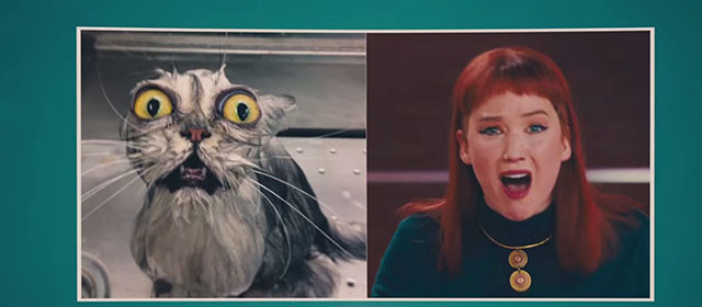 Don't Look Up - Devastated Wet Cat meme of Kate Dibiasky Jennifer Lawrence