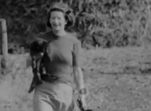 Dover Farmers - longhair tabby cat picked up by Mrs. Mitchell