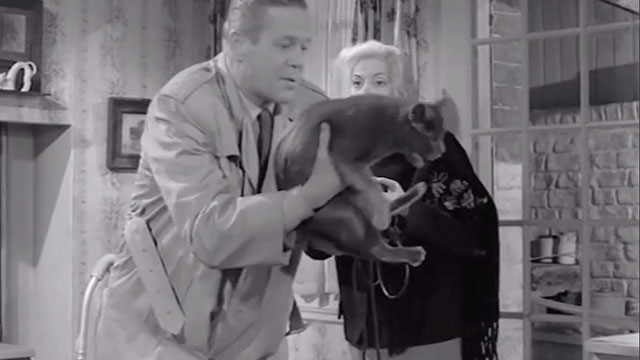 Do You Know This Voice? - gray cat Bruno being held up by Hopta Dan Duryea with Mrs. Marotta Isa Miranda