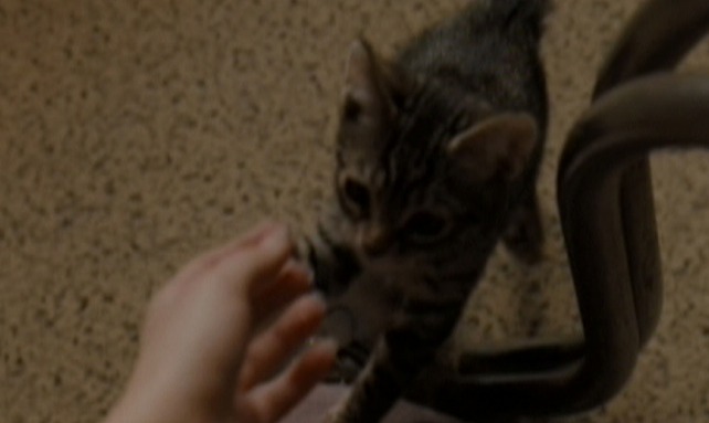 Drag Me to Hell - Christine pets the kitten