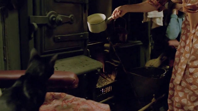 The Dressmaker - black cat watching Margo pouring water on fire from chair