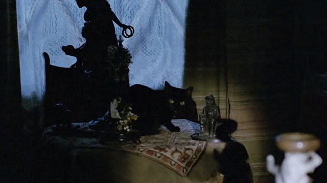 The Dressmaker - black cat on table in dark room