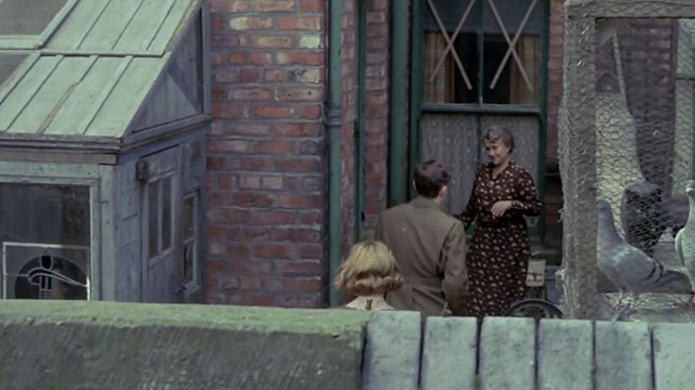 The Dressmaker - black cat walking toward pigeon coop as Rita and Wesley stand with Nellie