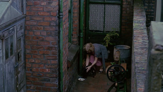 The Dressmaker - black cat set down outside by Margo Billie Whitelaw