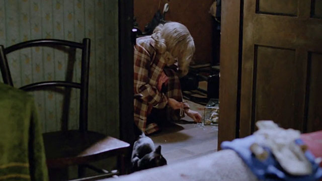 The Dressmaker - black cat nearby as Margo Billie Whitelaw cleans up broken glass