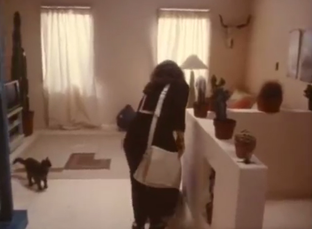 The Drifter - gray cat Steve on floor by Julia Kim Delaney