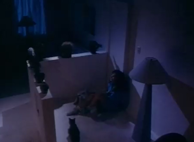 The Drifter - gray cat Steve approaching Julia Kim Delaney by door