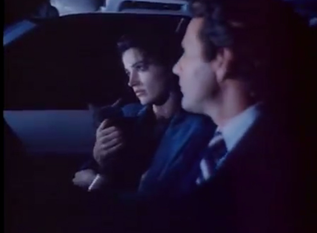The Drifter - gray cat Steve in Julia Kim Delaney's arms in car with Arthur Timothy Bottoms