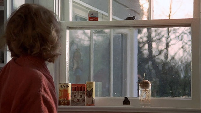 Drive, He Said - Olive Karen Black looking out window with catnip and flea powder on windowsill
