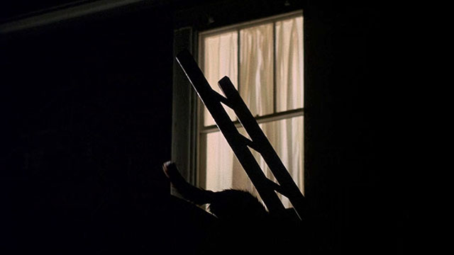 Drive, He Said - silhouette of cat on rooftop outside window
