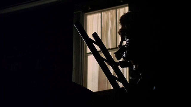 Drive, He Said - silhouette of man wearing coonskin cap carrying cat up ladder onto rooftop outside window