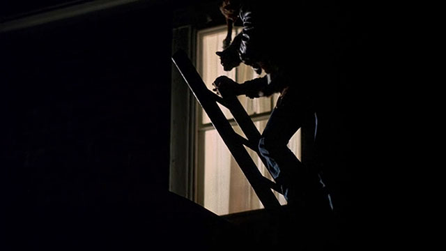 Drive, He Said - silhouette of man wearing coonskin cap carrying cat up ladder onto rooftop outside window