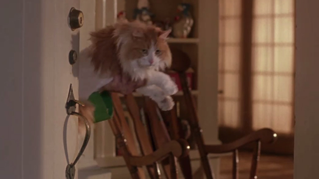 Drop Dead Fred - long-haired orange and white cat held up in doorway