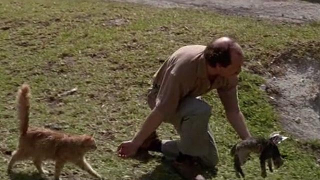 Drop Zone - Leedy Michael Jeter with long-haired orange tabby Buford and grey tabby kitten Betty