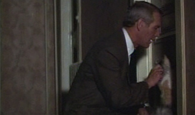 The Drowning Pool - Harper with fluffy calico cat at door