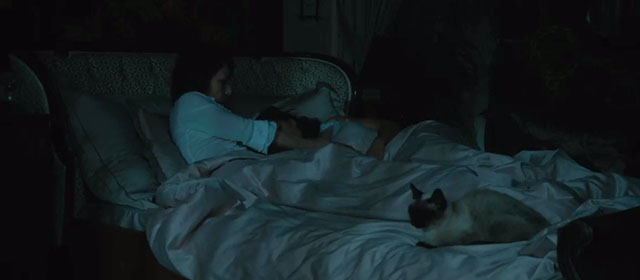 The Duke of Burgundy - Siamese cat lying on bed with Evelyn Chiara D'Anna and Cynthia Sidse Babett Knudsen