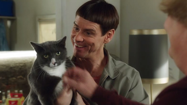 Dumb and Dumber To - Lloyd Jim Carrey holding grey and white cat Butthole