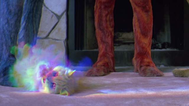 Earth Girls Are Easy - white Angora cat Bambi rolling around in rainbow bliss