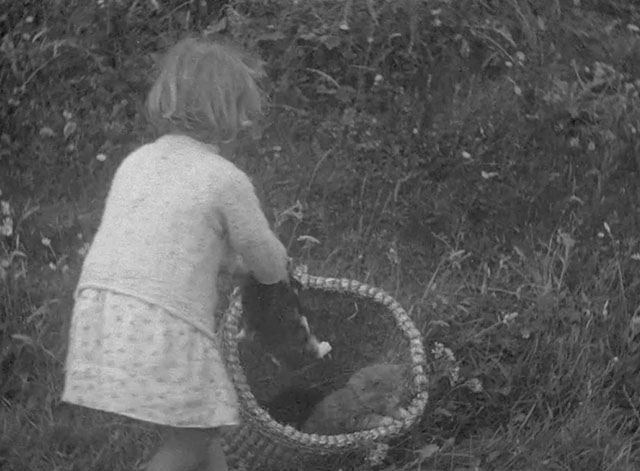 The Edge of the World - little girl placing tortoiseshell into basket with gray longhair tabby kitten