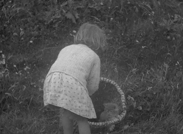 The Edge of the World - little girl placing tortoiseshell into basket with longhair tabby kitten