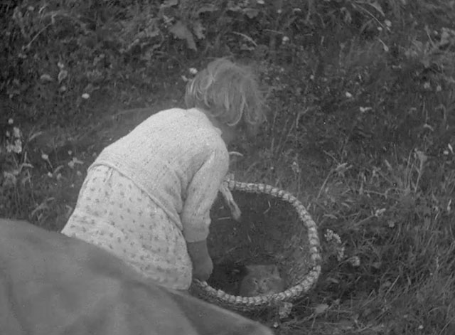 The Edge of the World - little girl with tortoiseshell and longhair tabby kittens in basket
