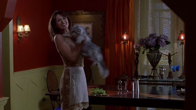 EDtv - Jill Elizabeth Hurley holding grey and white Persian cat Isabella long shot