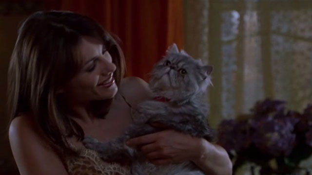 EDtv - Jill Elizabeth Hurley holding grey and white Persian cat Isabella closer