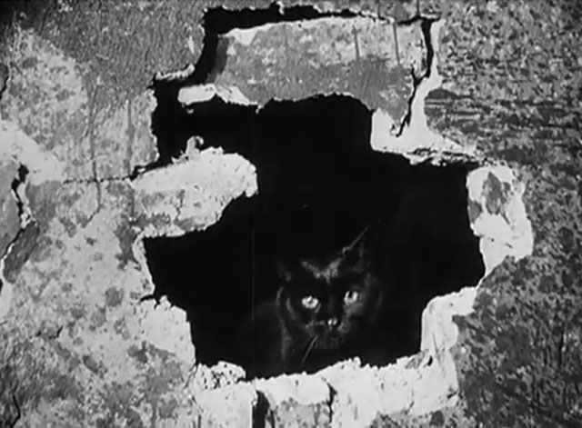 Eerie Tales - Unheimliche Geschichten - black cat looking through hole in wall