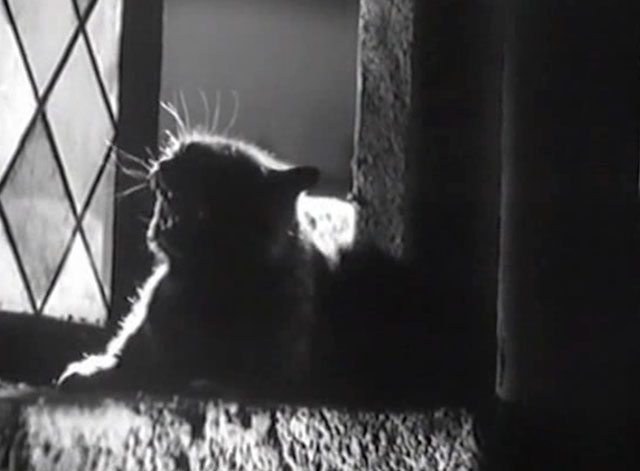 Eerie Tales - Unheimliche Geschichten - black cat yowling on window sill