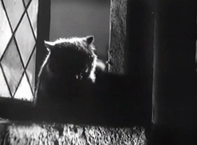 Eerie Tales - Unheimliche Geschichten - black cat hissing on window sill