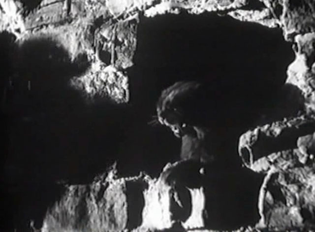 Eerie Tales - Unheimliche Geschichten - black cat hissing through hole in wall