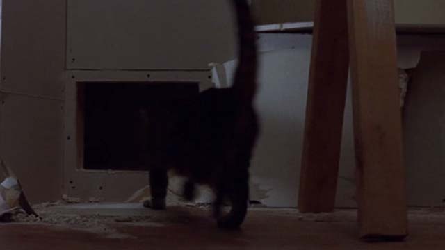 Eight Legged Freaks - tabby cat Zeke running into hole in wall