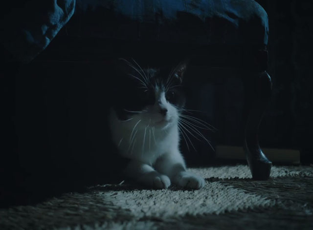 The Electrical Life of Louis Wain - tuxedo cat Peter