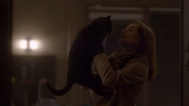 Elle - Mich&egrave;le Isabelle Huppert holding up gray cat Marty