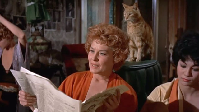 Elmer Gantry - ginger tabby cat sitting with prostitutes in whorehouse