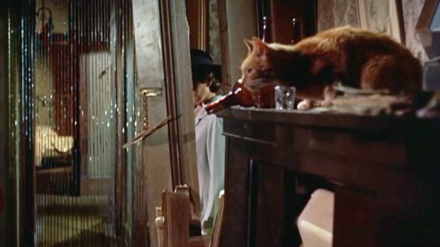 Elmer Gantry - ginger tabby cat on top of player piano