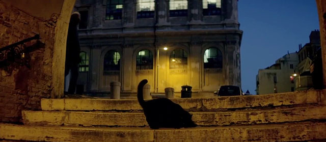 Elsa and Fred - black cat on steps