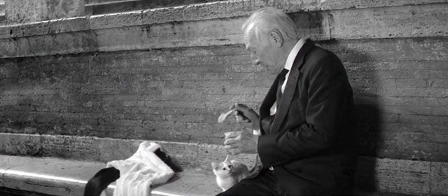 Elsa and Fred - ginger and white kitten with Christopher Plummer