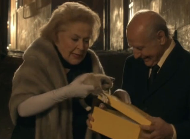 Elsa y Fred - Fred Manuel Alexandre and Elsa China Zorrilla taking snowshoe kitten out of box