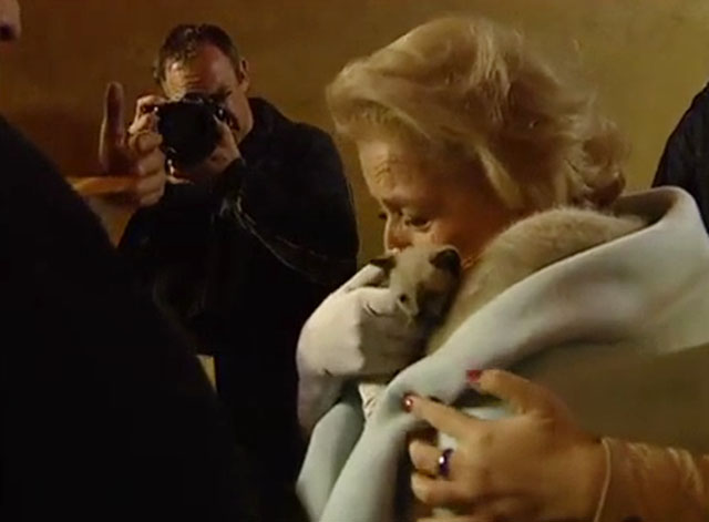 Elsa y Fred - China Zorrilla with snowshoe kitten