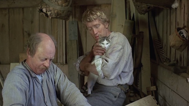 The Emigrants - Karl Max von Sydow holding white and tabby cat in barn with Nils Sven-Olof Bern