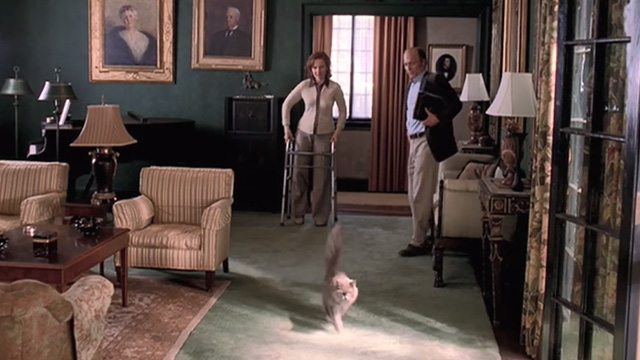 Empire Falls - long haired gray cat Timmy running away from Cindy Kate Burton and Miles Ed Harris