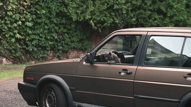 Empire Falls - long haired gray cat Timmy jumping out of Miles Ed Harris car