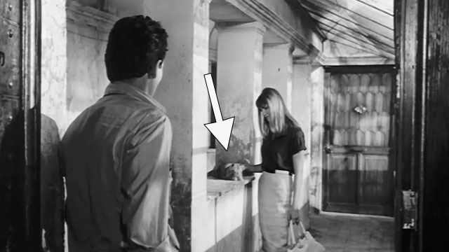 La Noia - Empty Canvas - Dino Horst Buchholz looking at Cecilia Cathering Spaak petting longhair tabby cat in hallway