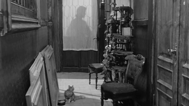La Noia - Empty Canvas - Dino Horst Buchholz entering apartment with longhair tabby cat sitting in hallway