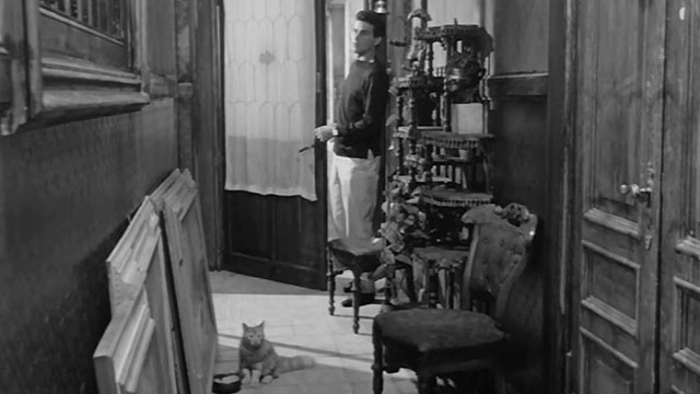 La Noia - Empty Canvas - Dino Horst Buchholz entering apartment with longhair tabby cat sitting in hallway