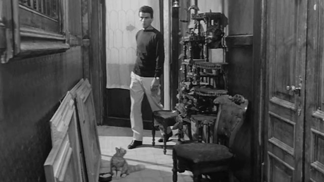 La Noia - Empty Canvas - Dino Horst Buchholz entering apartment with longhair tabby cat sitting in hallway
